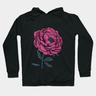 Peony drawing 3 Hoodie